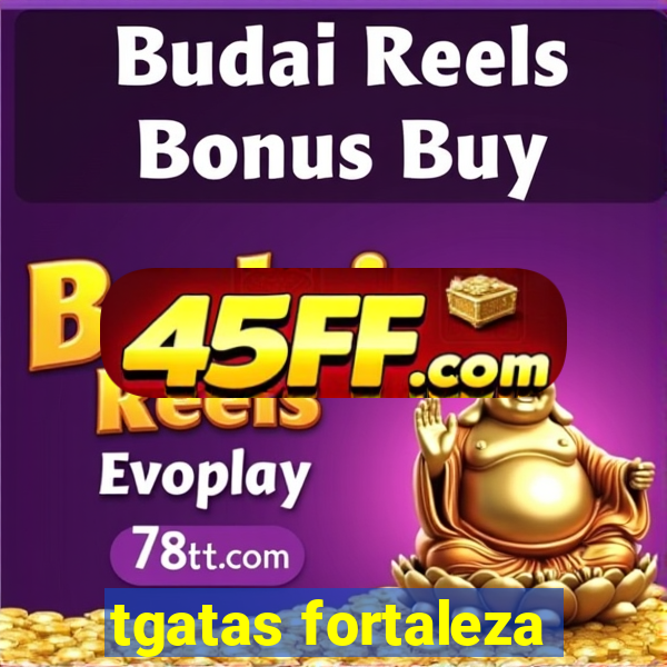 tgatas fortaleza